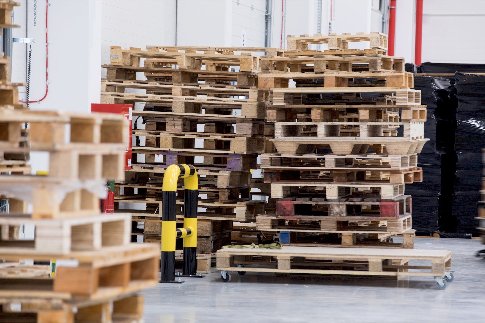 pallet recupero e smaltimento materiale commerciale ESSEBI Isola Del Gran Sasso Teramo Abruzzo